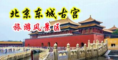 美女小姐姐日批中国北京-东城古宫旅游风景区